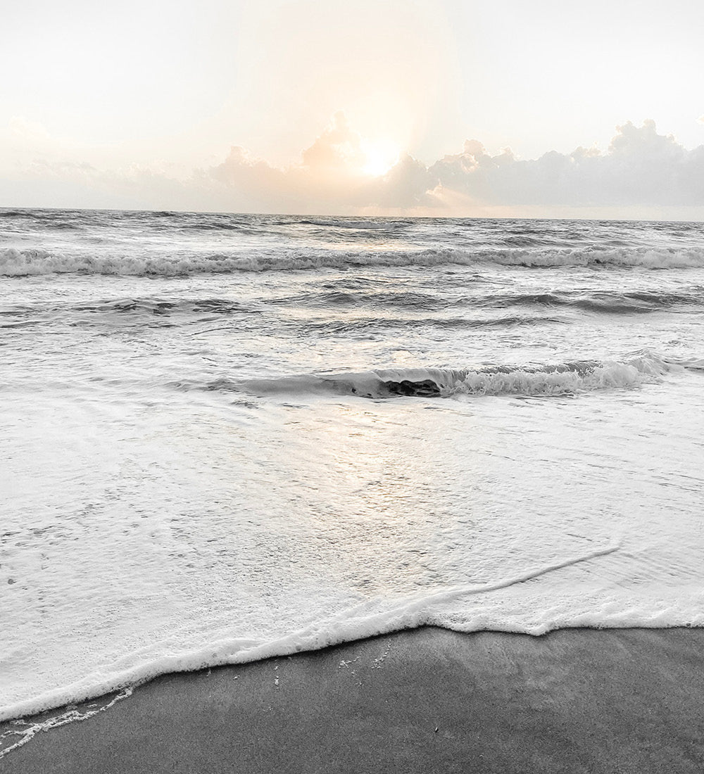The sun rising over the beach