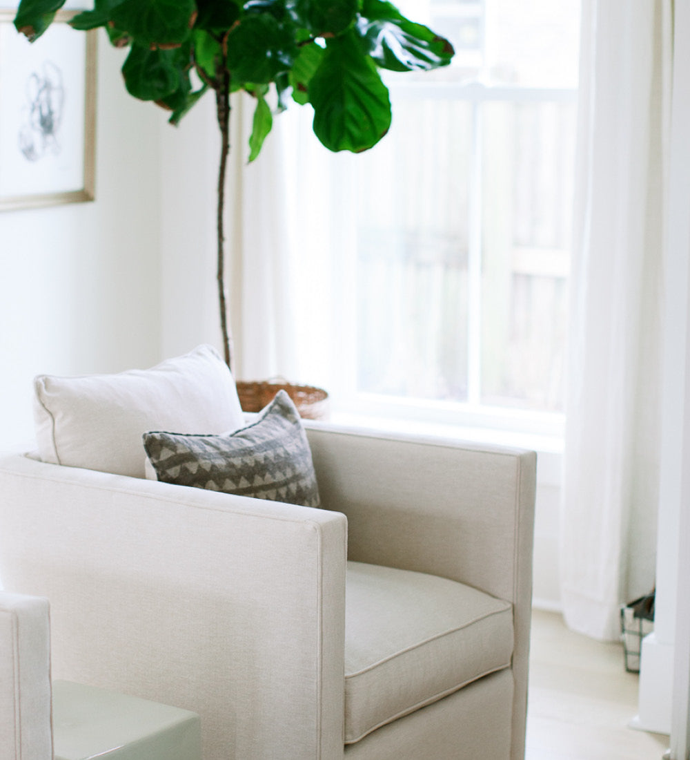A comfortable chair next to a window with beautiful natural light and a fiddle leaf fig